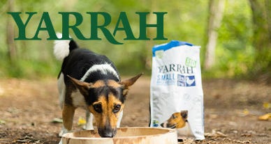 Yarrah : chiens ou chats, eux aussi ils y ont droit ! Yarrah : chiens ou chats, eux aussi ils y ont droit !