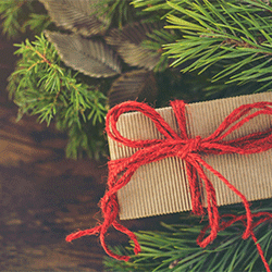 Cadeaux suspendus : des fêtes Bio et Solidaires Cadeaux suspendus : des fêtes Bio et Solidaires