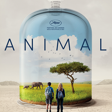 Animal, le docu qui vous gagne Animal, le docu qui vous gagne